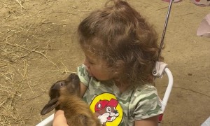 Toddler Singing Lullaby to Baby Goat