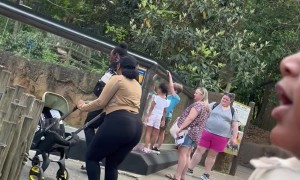 My Son Is Super Excited to See a Giraffe