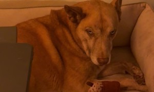 First Night With Newborn