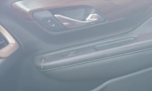 Mom Surprises Dad With Baby Sheep