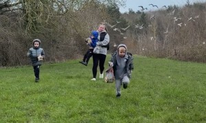 Feeding the Ducks Gone Wrong