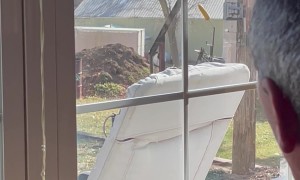 Gizmo Launches Squirrel Away