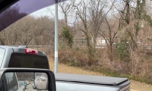 Handcuffed Suspect Jumps Out of Cop Car And Flees Police