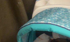 Puppy Getting Baby Treatment