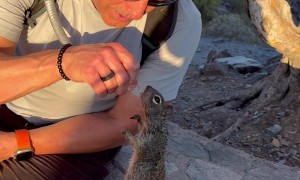 Hiker Shares Water With a Thirsty Squirrel
