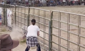 Little Boy Hangs on Tight During Mutton Bustin' Rodeo Event