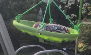 Little Legend Sends It