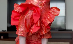 Pretty Sphynx Kitty on Display