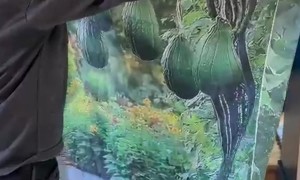 Husband Disappointed At Comically Flat Archway