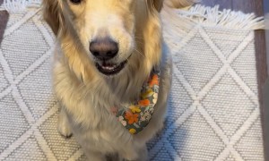 She’s Caught Onto My Tricks