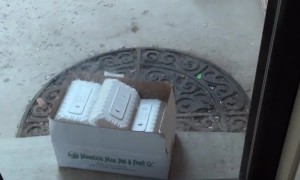 Frustrating Food Delivery Placement