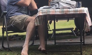 Man's Quiet Moment Interrupted By Kookaburra Chaos