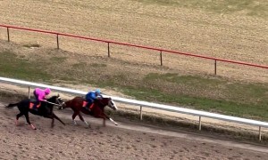 Horse Racing Gender Reveal