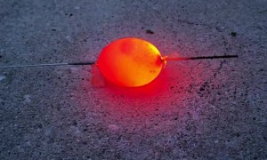 Glowing Egg Experiment