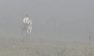 Ghostly Horseback Rider Spotted in the Fog
