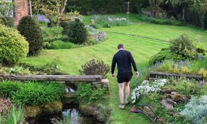 Accidental Plunge During Gardening Timelapse