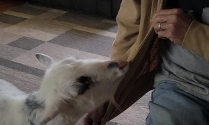 Steven Playing With His Dad's Zipper