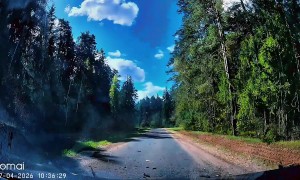 Large Pine Tree Falls Right in Front of Moving Vehicle