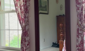 Cat Launches Herself Into Mirror