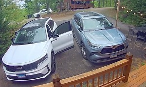 Gatlinburg Black Bear Knows To Try Car Doors