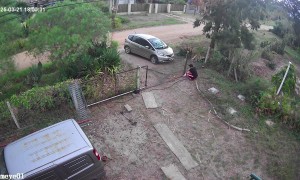 Branch From Tree Falls on Unsuspecting Man