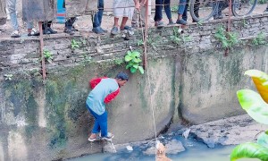 Dog Rescued By Locals At Badda Lake