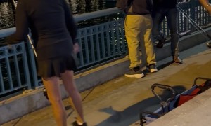 Florida Woman Has Racist Meltdown in Public