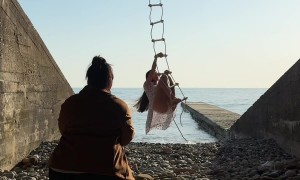 Seaside Photoshoot Gone Wrong