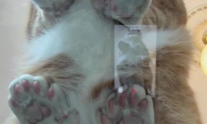 Kenny Has Extra Toe Beans