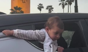 Baby Spotted Leaning Out of Car Window