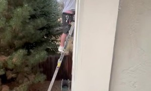 Painter Falls Off Ladder and Saves Satellite Dish