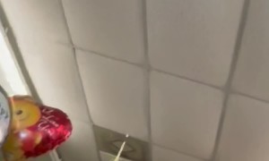 Florist Shouts Slurs At Delivery Driver Returning Order