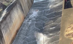 Urban Waterslide in Australia