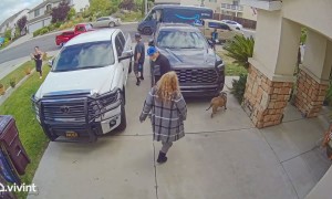 Dog Gets Out and Scares Delivery Driver