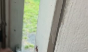My Son Crashed Through My Door Running From the Rain