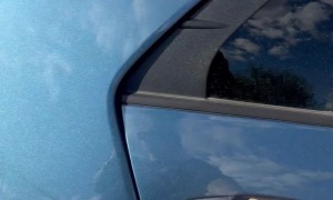 Pup Confidently Launches Out From Opened Car Door