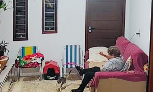 Cat Startles Grandma Who Startles Cat