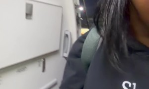 Flight Attendant Surprises Family on Flight