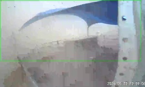 Dust Devil Sweeps Through Homestead Farm
