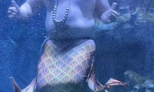 Charismatic Merman Steals the Show