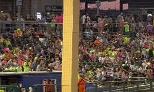 Box Stackers Send Cow to the Moooooon