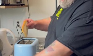 Toaster Repair Gone Wrong