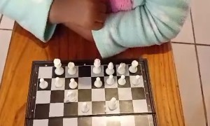 The Ultimate Chess Player