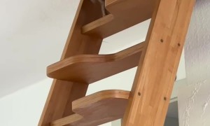 Chihuahua Climbs Steep Stairs