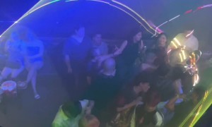 Blinded By Bald Head at the Club