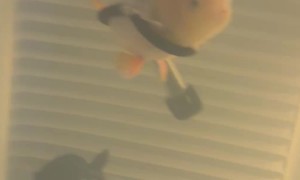 Mr. Sue Enjoying Snacks in His Floaty