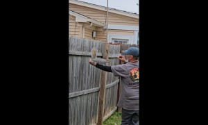 Rocky the Squirrel Stops By