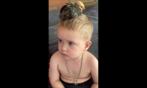 Little Boy With a Chicken on His Head
