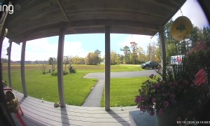 Dog Gets Out and Frightens Delivery Driver