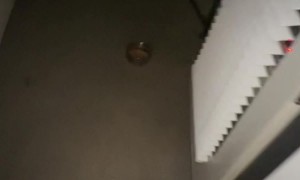Hot Pot Melts To Balcony Floor